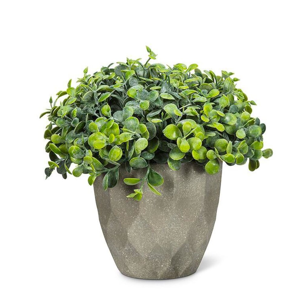 Teardrop Bright Green Leaf Plant Pot - Variegated